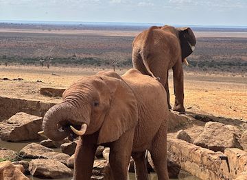 kenya/tsavo-region/landmark/tsavo-east-national-park-bachuma-gate