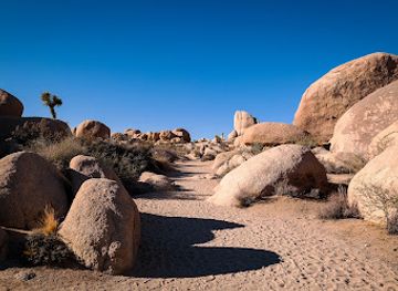 california/joshua-tree-national-park/landmark/arch-rock-nature-trail