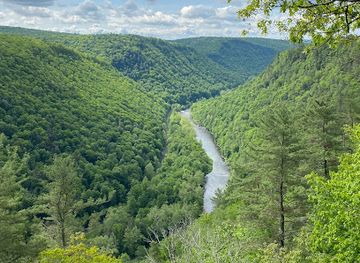 pennsylvania/southern-alleghenies/landmark/pine-creek-gorge