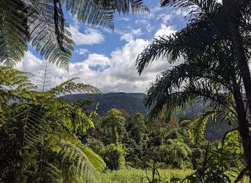 costa-rica/turrialba-valley/landmark/parque-nacional-barbilla