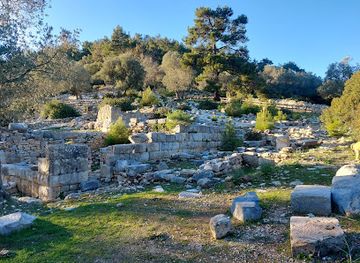 turkiye/bodrum/landmark/pedasa-antique-city