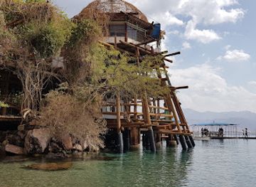 israel/southern-district/landmark/dolphin-reef