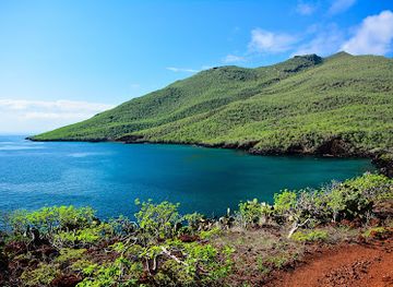 ecuador/highland-valleys/landmark/metropolitan-touring