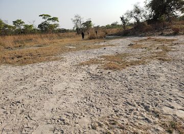 tanzania/ruaha-region/landmark/rungwa-game-reserve