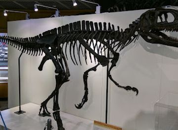 japan/tohoku/landmark/museum-of-natural-history-tohoku-university