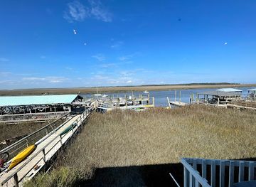 south-carolina/edisto-island/landmark/briny-swine