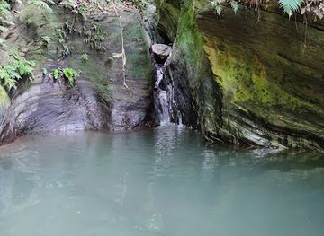 trinidad-and-tobago/edith-falls/landmark/covigne-river-gorge