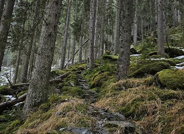 austria/bad-gastein/landmark/tauernbach-wasserfall