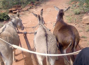 botswana/moremi-game-reserve/landmark/bahurutshe-cultural-village