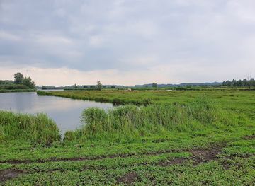 netherlands/ijsselmeer-polders/landmark/nature-reserve-ilperveld