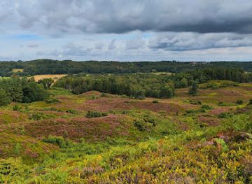denmark/limfjord/landmark/o-denmark