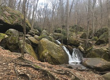 pennsylvania/allegheny-national-forest/landmark/bent-run-waterfall