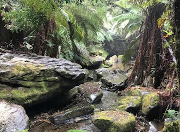 australia/mount-field-national-park/landmark/marakoopa-cave