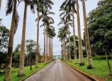 Aburi Botanical Gardens & Park | TortoisePath.com