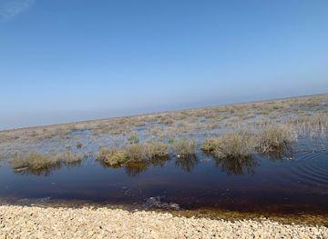 iraq/maysan/landmark/safiah-marshes-majnoon