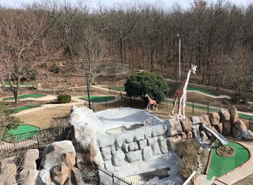 arkansas/fayetteville/landmark/gator-golf-miniature-golf-course