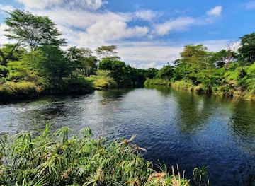 kenya/kilimanjaro-region/landmark/mzima-springs
