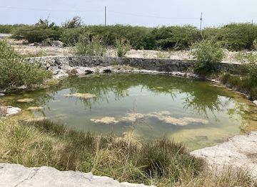 turks-and-caicos-islands/cockburn-town/landmark/turtle-crawl