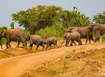 uganda/kidepo-valley-national-park/landmark/kibale-national-park