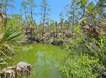 florida/big-cypress-national-preserve/landmark/trail-head-for-big-cypress-wildlife-management-area