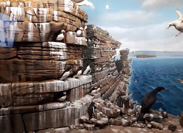 canada/maritimes/landmark/museum-of-natural-history