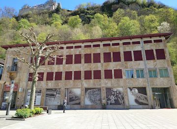 liechtenstein/gaflei/landmark/schatzkammer-liechtenstein