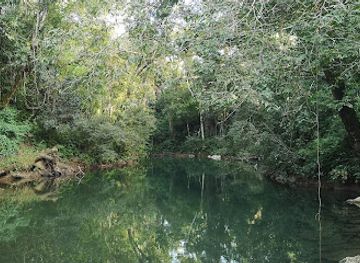 belize/mountain-pine-ridge/landmark/belize-bird-rescue