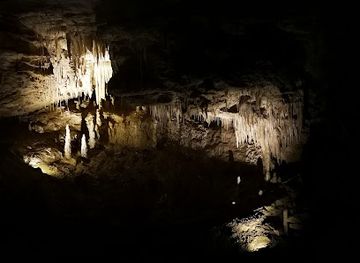 new-zealand/waitomo-caves/landmark/waitomo-caves-isite-visitor-information-centre
