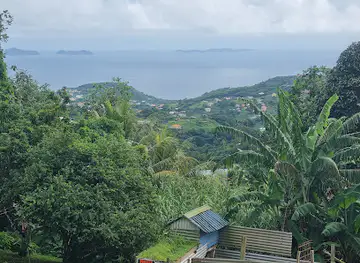 Belmont Lookout