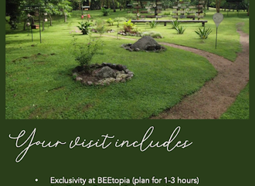 tanzania/central-zone/landmark/beetopia