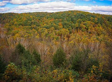 ohio/mohican-state-park/landmark/gorge-overlook-trail