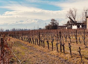 chile/maipo-valley/landmark/vina-cousino-macul