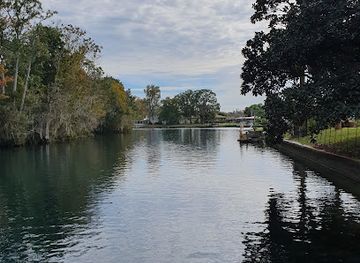 florida/crystal-river/landmark/swim-with-manatees
