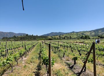chile/colchagua-valley/landmark/colchagua-wine-tours