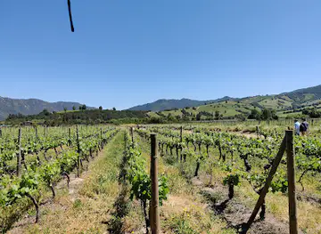 Colchagua Wine Tours