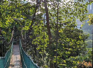 malaysia/central-region/landmark/bukit-nanas-forest-reserve
