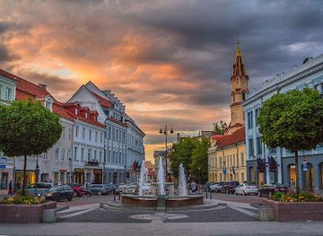 lithuania/vilnius/old-town/landmark/town-hall-square