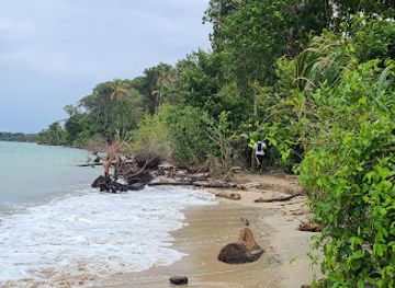 costa-rica/cahuita-national-park/landmark/parque-nacional-cahuita-entrada-puerto-vargas