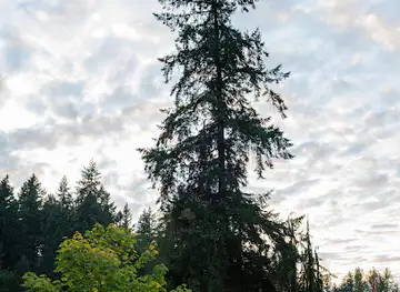 Farrel-McWhirter Park