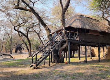 zimbabwe/hwange/landmark/sikumi-tree-lodge