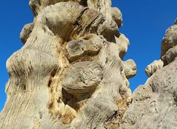 namibia/erongo/landmark/deadvlei
