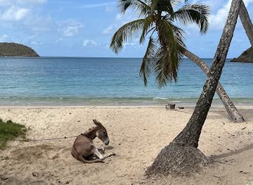 antigua-and-barbuda/darkwood-beach/landmark/carlisle-bay-beach