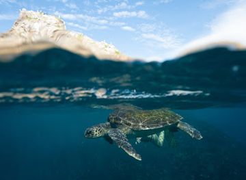 australia/byron-bay/landmark/snorkeling-byron-bay