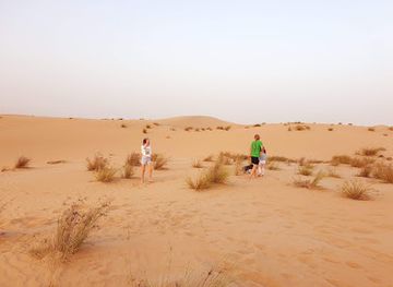 united-arab-emirates/dubai-desert-conservation-reserve/landmark/al-marmoom-conservation-reserve