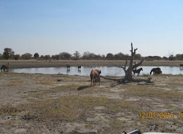 botswana/makgadikgadi-pans-national-park/landmark/nwetwe-pan