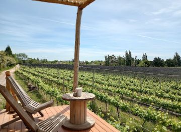 argentina/cuyo/landmark/rincon-gieco-vistalba