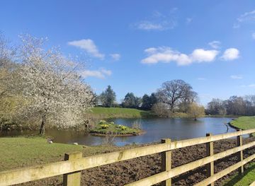 united-kingdom/cheshire/attraction/cotebrook-shire-horse-centre-2