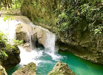 jamaica/portland-ridge/landmark/somerset-falls