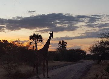 tanzania/moshi/landmark/maryo-tours