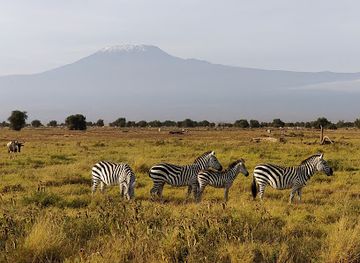 kenya/chyulu-hills/landmark/amboseli-national-park